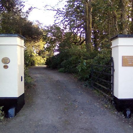 Westleigh House Farm Bideford Exterior foto
