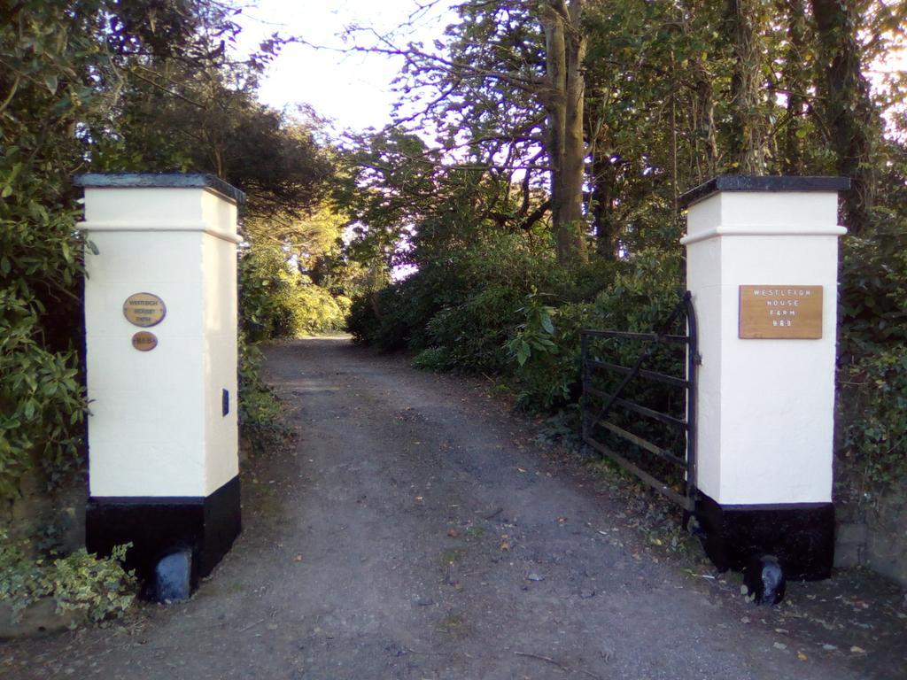 Westleigh House Farm Bideford Exterior foto