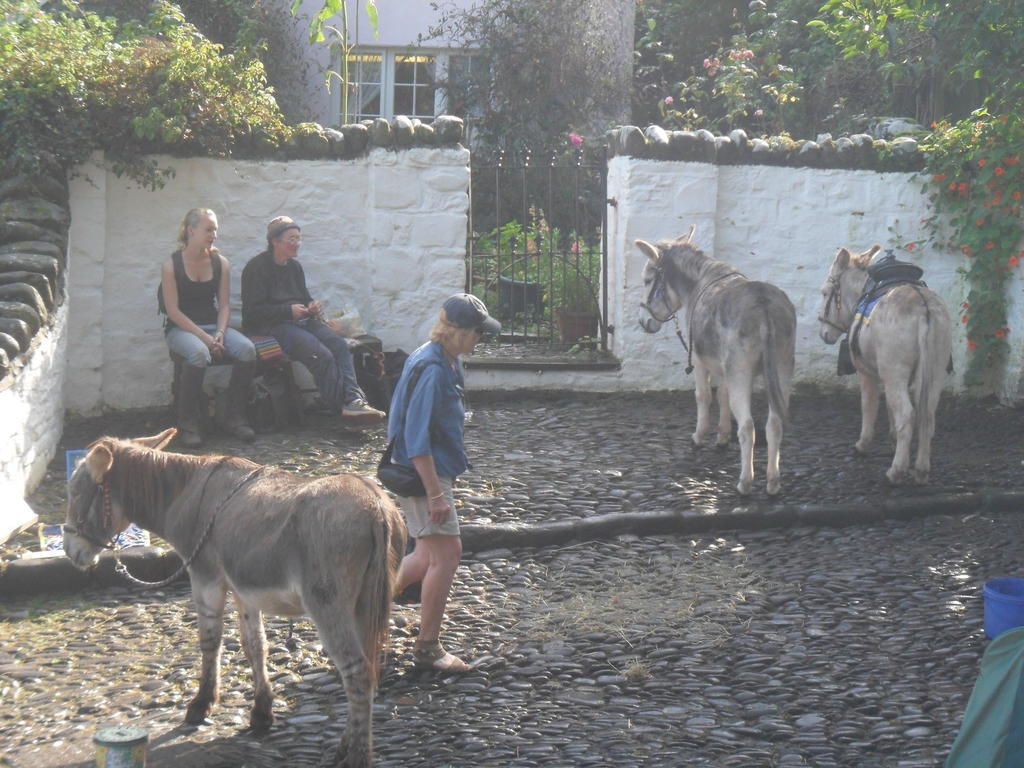 Westleigh House Farm Bideford Exterior foto